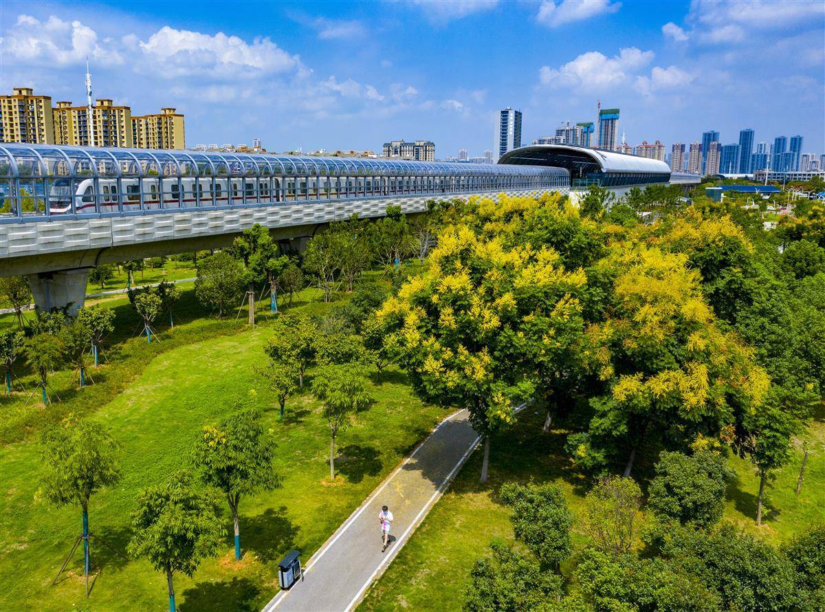 捕鱼游戏赚钱换人民币的有哪些
